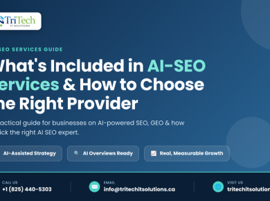 AI-SEO Services Explained - What's Included and How to Choose the Right Provider | TriTech IT Solutions